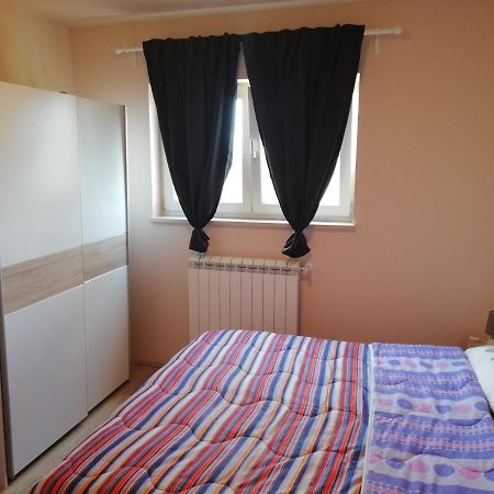 Apartman Nikola Ladrovici Kültér fotó