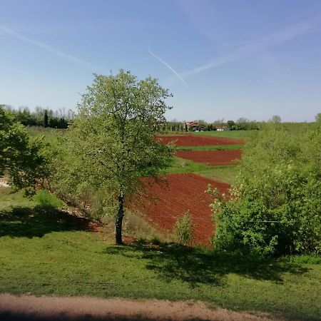 Apartman Nikola Ladrovici Kültér fotó