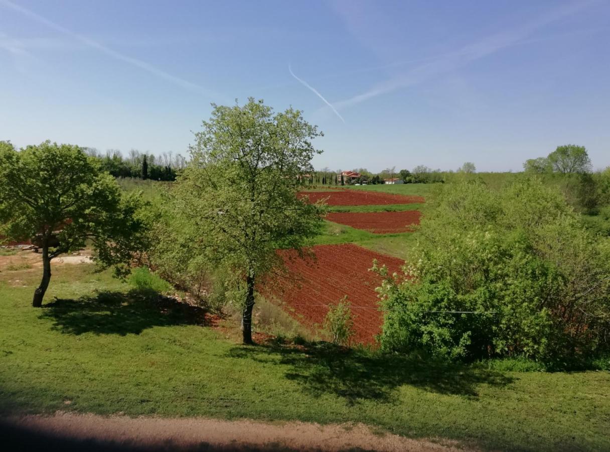 Apartman Nikola Ladrovici Kültér fotó
