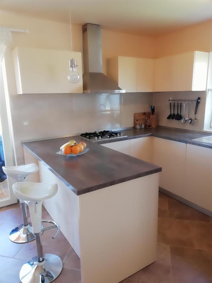 Apartman Nikola Ladrovici Kültér fotó