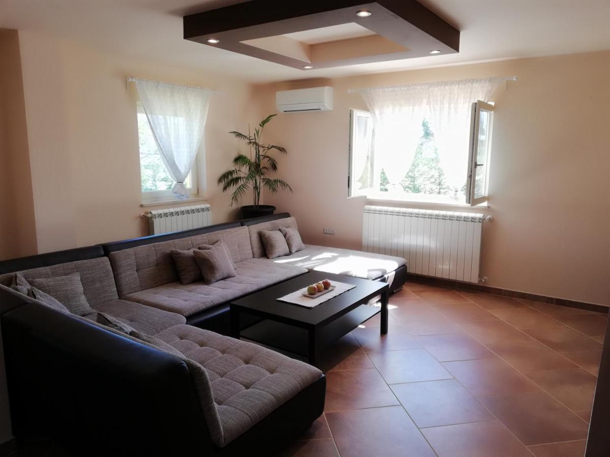 Apartman Nikola Ladrovici Kültér fotó