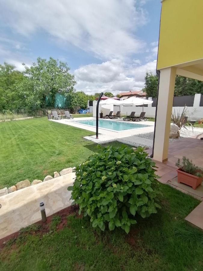 Apartman Nikola Ladrovici Kültér fotó