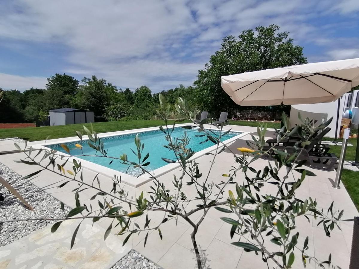 Apartman Nikola Ladrovici Kültér fotó